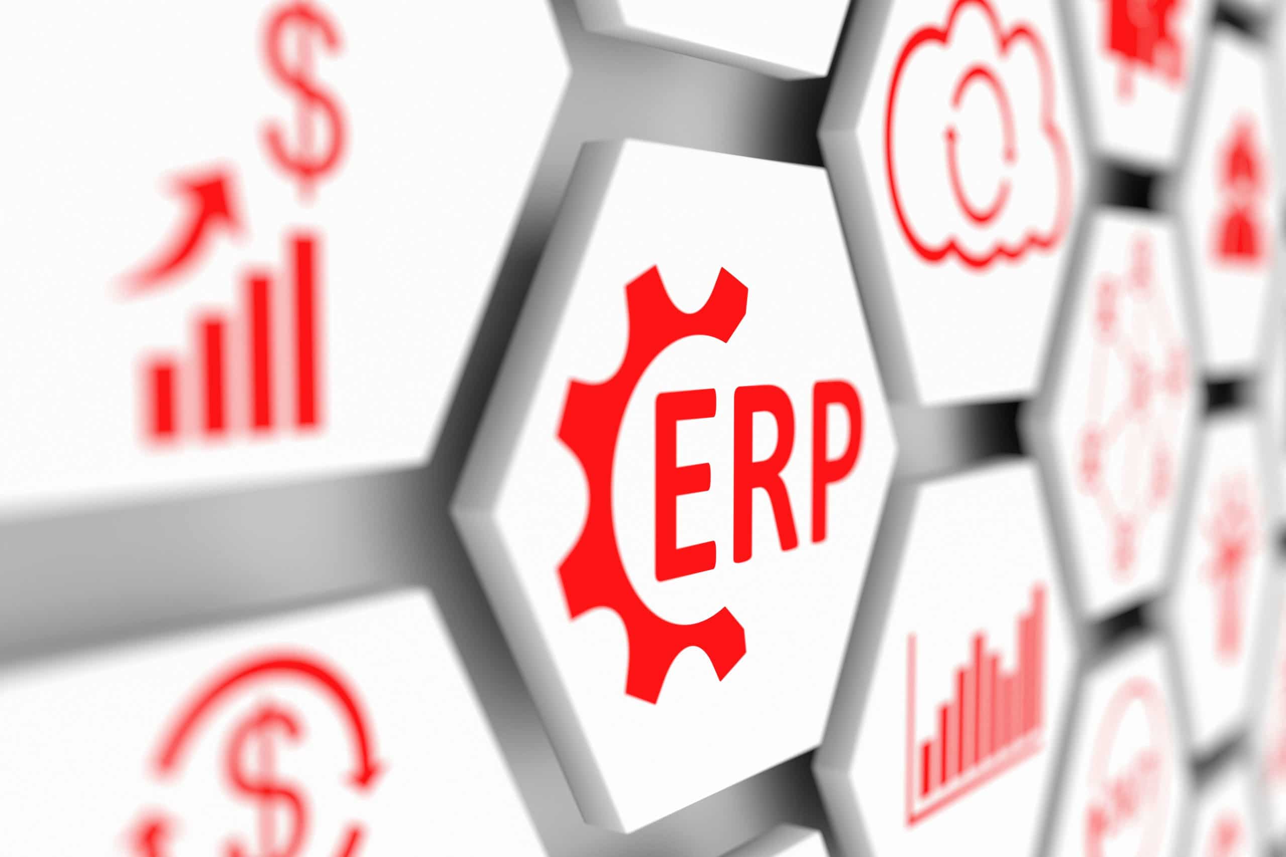 System ERP